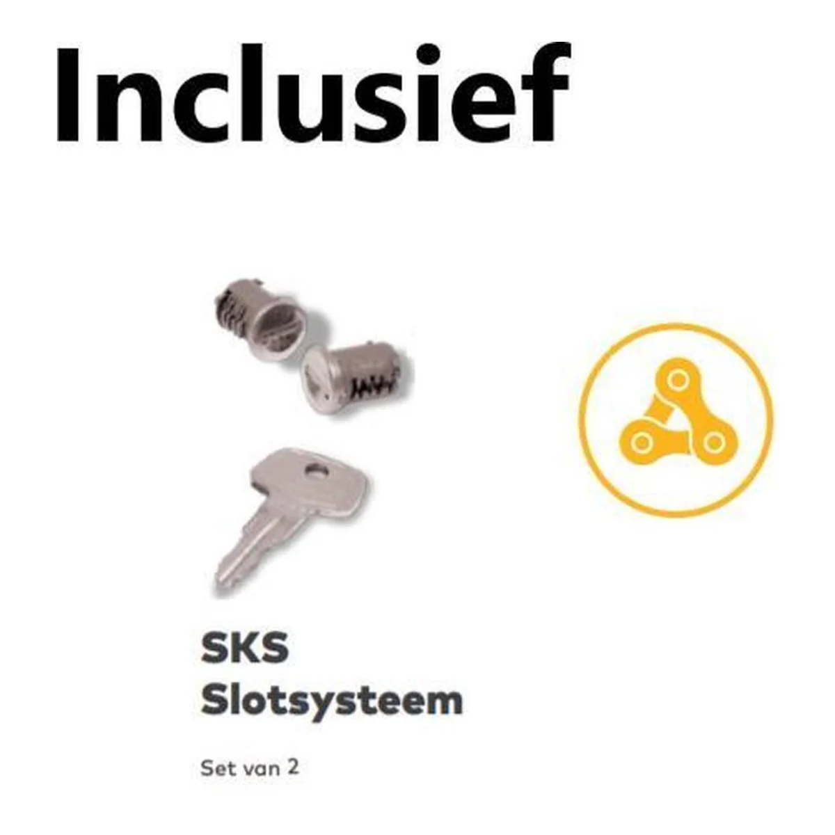 Miniatuur 8